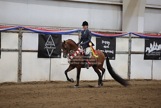 0539 Region 4 Arabian Hunter Pleasure Futurity