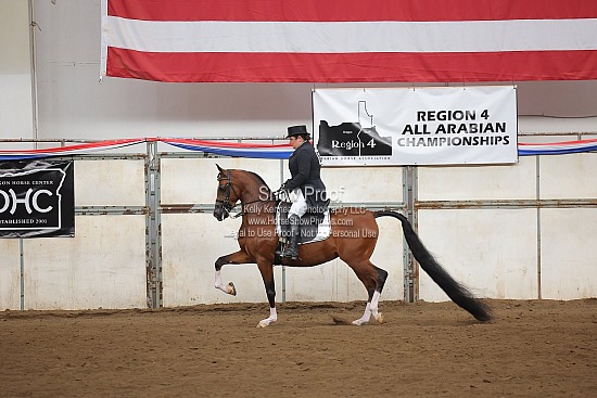 0451 Region 4 Arabian Show Hack