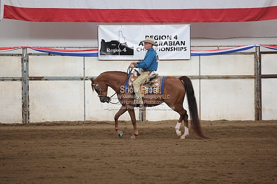 0552 Region 4 HA Western Pleasure Jr Horse