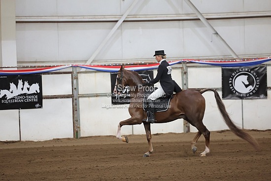 0549 Region 4 HA English Show Hack