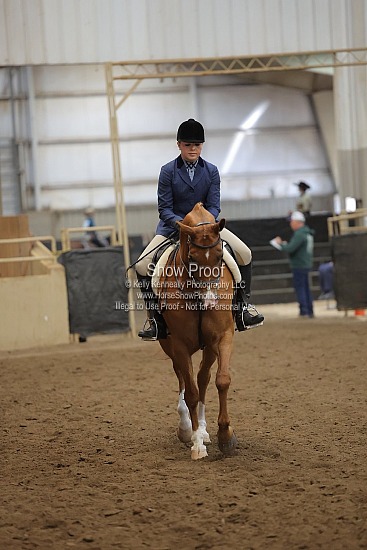0490 Region 4 Arabian Hunter Pleasure JOTR 18 & Under