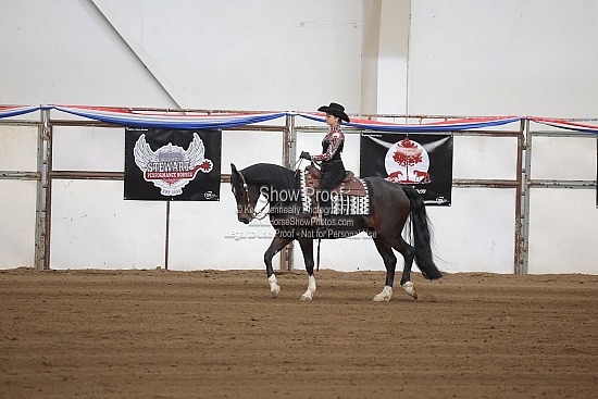 0499 Region Western Horsemanship JTR