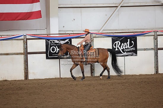 0455 Region 4 Arabian Ranch Horse Rail AATR 50 & Over