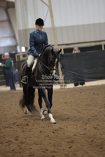 0492 Region 4 HA Hunter Pleasure ATR Choice/Elite