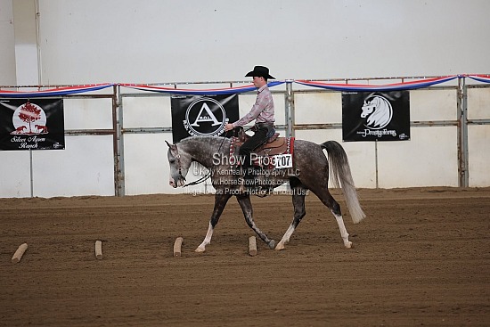 0420 Region 4 Arabian Ranch Horse Riding