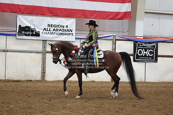 0443 Region 4 Arabian Western Pleasure Jr Horse