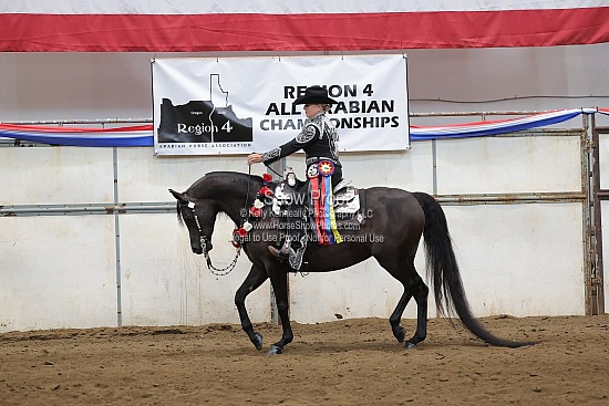 0437 Region 4 Arabian Western Pleasure ATR Choice/Elite