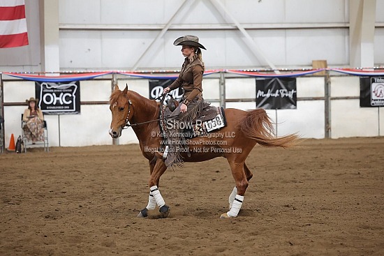 0498 Region 4 Arabian Reining Jr Horse