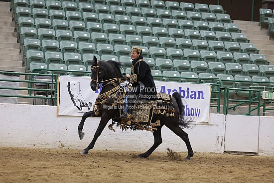 Class 249 HA Mounted Native Costume Championship