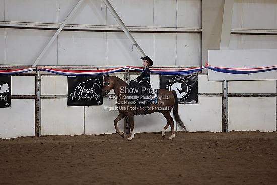 0456 Region 4 HA Ladies Side Saddle Western