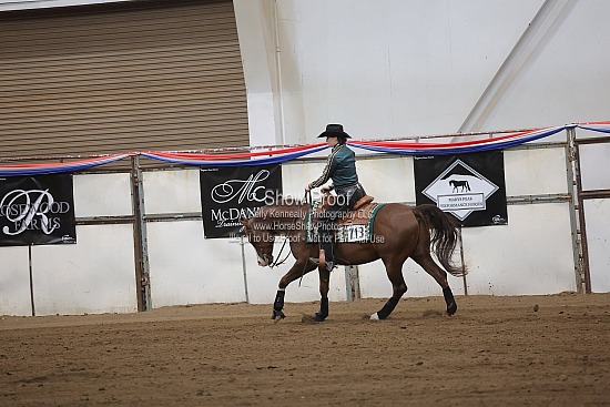 0497 Region 4 Arabian Reining Horse AAOTR