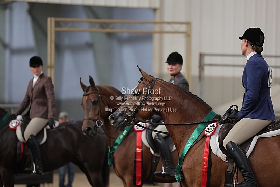 0509 Region 4 HA Hunter Pleasure Jr Horse