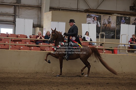 0557A Region 4 HA Park Horse