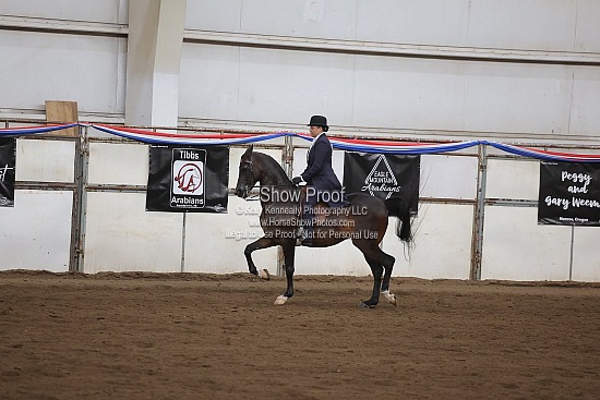 0555 Region 4 HA Saddle Seat Equitation JTR
