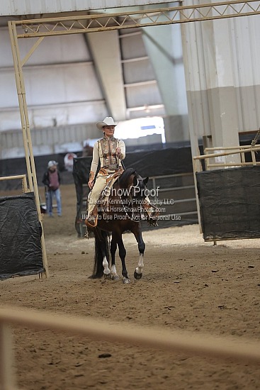 0439 Region 4 Arabian Western Pleasure Geldings