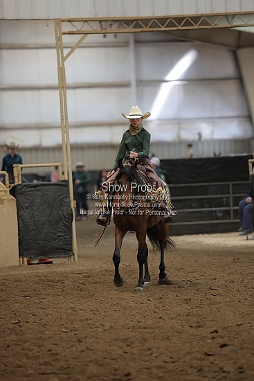 0491 Region 4 Arabian Ranch Horse Rail Pleasure JTR