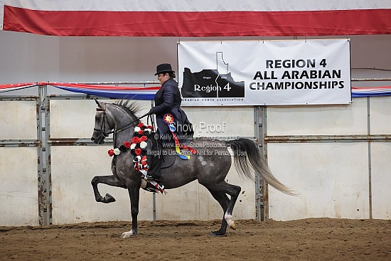 0438 Region 4 Arabian Country English Pleasure Futurity