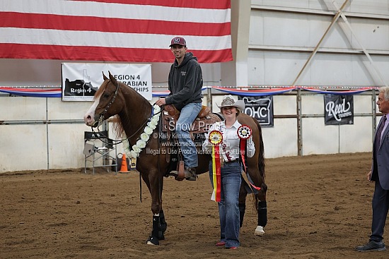 0444 Region 4 Arabian Reining Horse