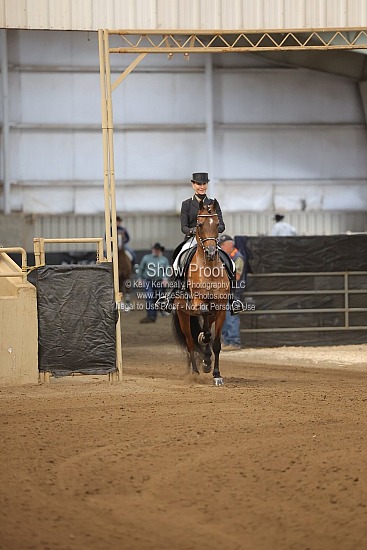 0422 Region 4 HA English Show Hack ATR
