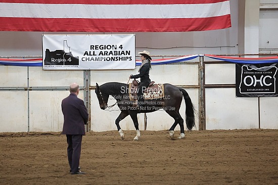 0538 Region 4 HA Arabian Ranch Horse Rail Pl JTR