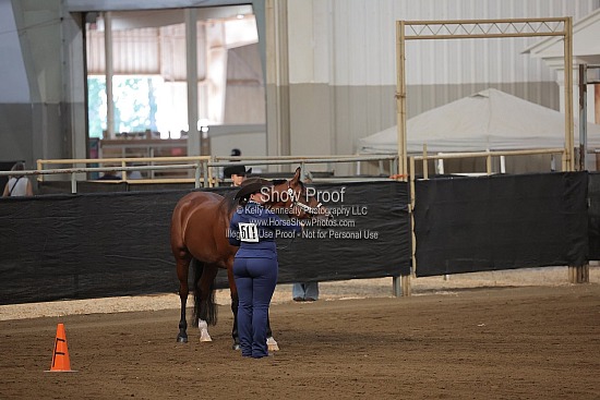 0465 Region 4 Showmanship AATH