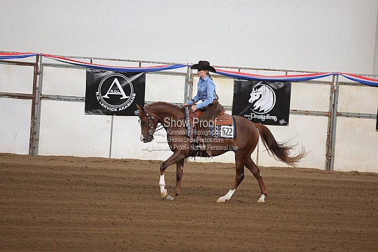 0510 & 0511 Arabian Ranch Horse Riding Jr Horse & Futurity