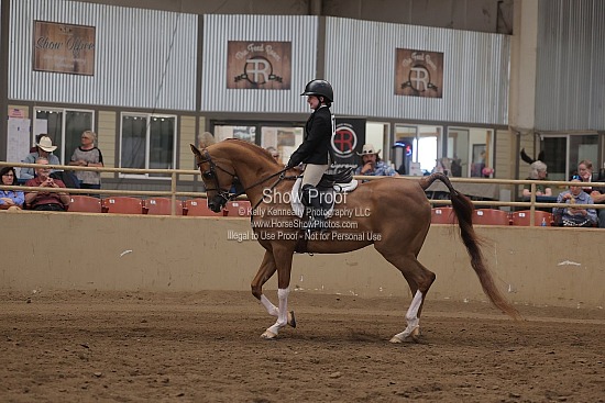 0504 Region 4 Walk/Trot 10 & Under Hunter Seat Equitation