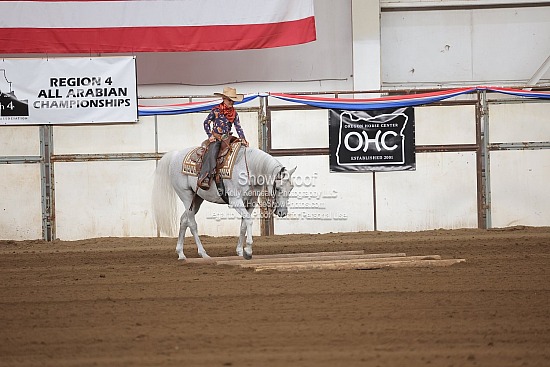 0559 Region 4 Walk/Trot Ranch Horse Riding 10 & Under