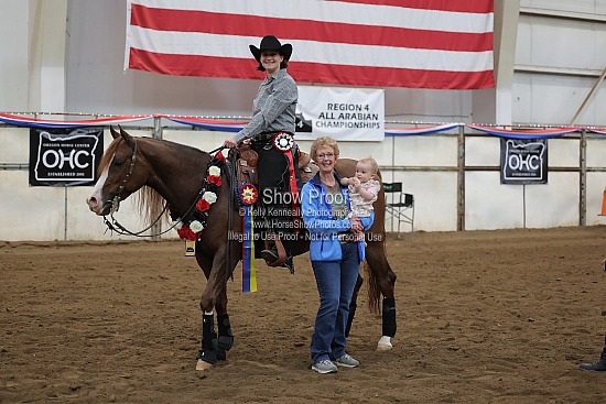 0447 Region 4 Arabian Reining Horse ATR