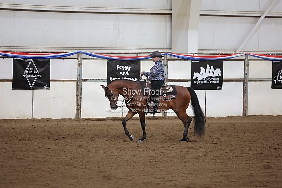 0450 Region 4 Arabian Western Pleasure ATR Select