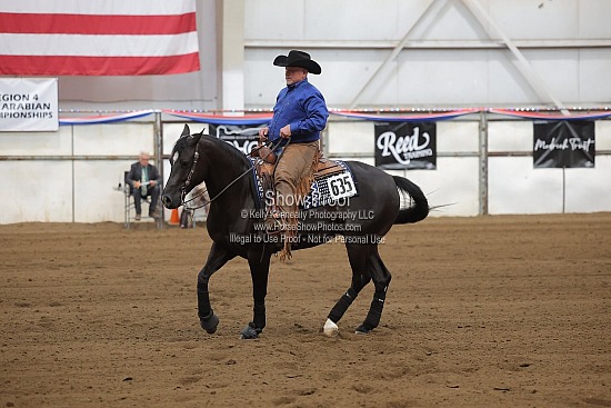 0496 Region 4 HA Reining