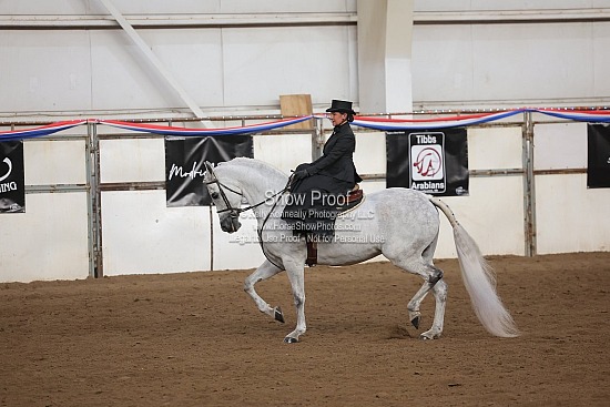 0462 Region 4 HA Ladies Side Saddle English