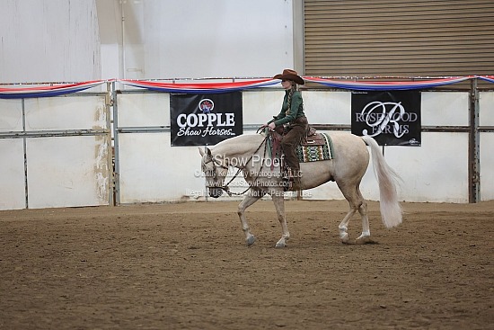 0488 Region 4 HA Ranch Rail Pleasure Futurity