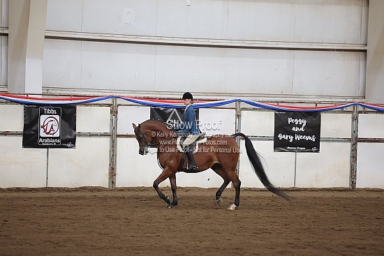0553 Region 4 Arabian Hunter Pleasure JTR 18 & Under