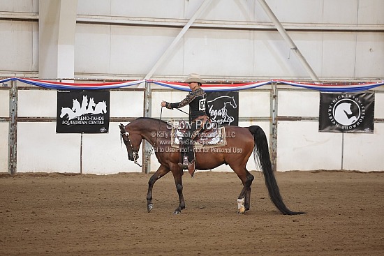 0517 Region 4 Arabian Western Pleasure JTR 18 & Under