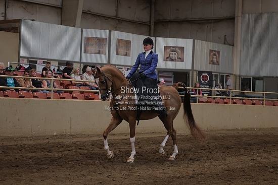 0564 Region 4 Ladies Side Saddle English/Western ATR