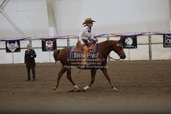 0521 Region 4 Arabian Ranch Disciplined Rail Pleasure ATR