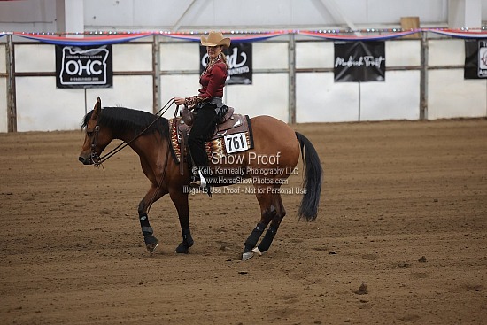 0544 Region 4 HA Reining Horse AAOTR