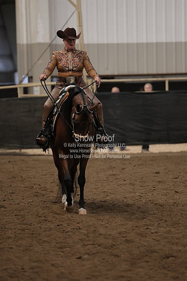 0506 Region 4 Arabian Western Pleasure AOTR Futurity