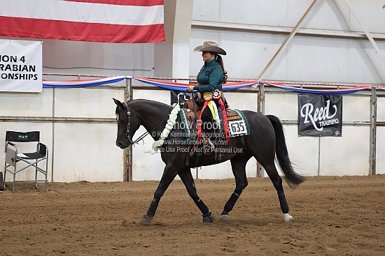 0445 Region 4 HA Reining Horse ATR