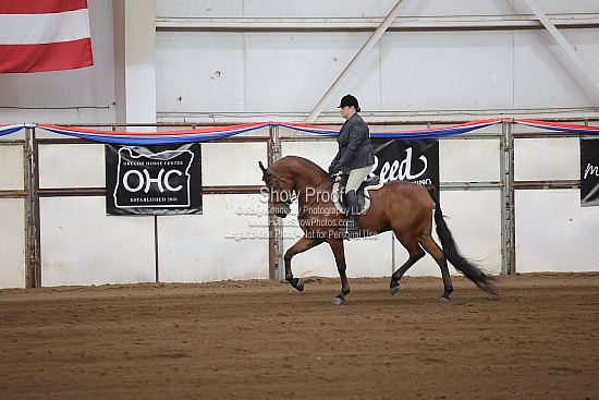 0548 Region 4 HA Hunter Pleasure AOTR Futurity