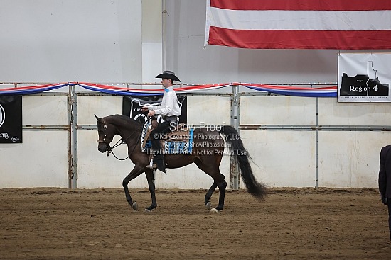 0535 Arabian Western Pleasure Futurity