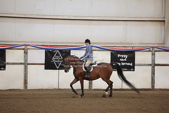 0519 Region 4 Arabian Hunter Pleasure AAOTR