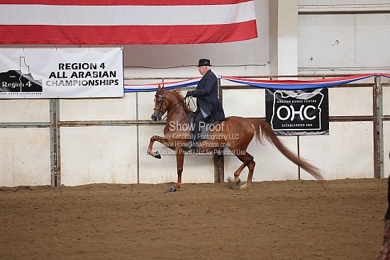 0460 Region 4 HA English Pleasure