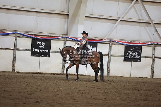 0568 Region 4 Arabian Western Pleasure