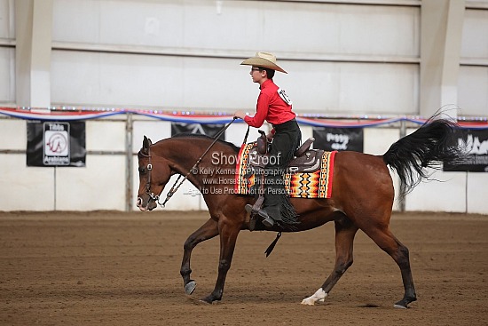 0560 Region 4 Arabian Ranch Horse Riding JTR