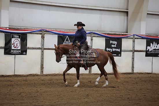 0542 Region 4 Arabian Ranch Rail Pleasure Futurity