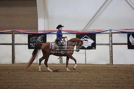 0540 Region 4 HA Western Pleasure JTR 18 & Under