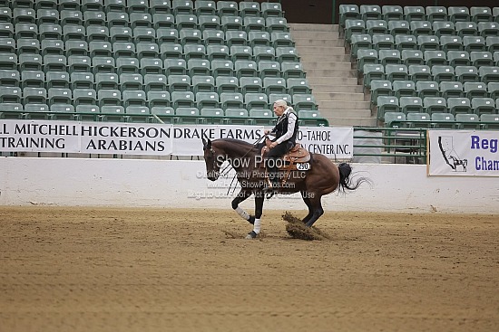 2) Friday - Reining