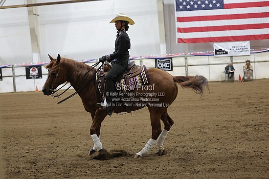 0528 Region 4 Reining Seat Equitation JTR